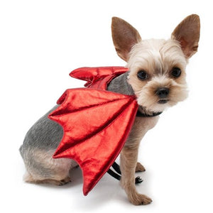 Dragon Wings in Red - Posh Puppy Boutique