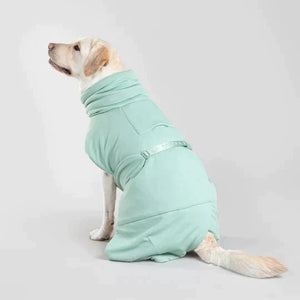Drying Coat 2Go in Sage - Posh Puppy Boutique