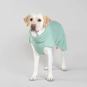 Drying Coat 2Go in Sage - Posh Puppy Boutique
