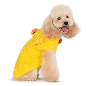 Duck Sweater - Posh Puppy Boutique