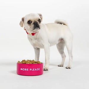 Kate Spade More Please Pink Dog Bowl