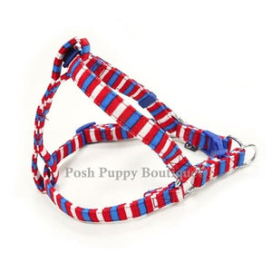 EasyCLICK Harness Fun Stripes - Posh Puppy Boutique