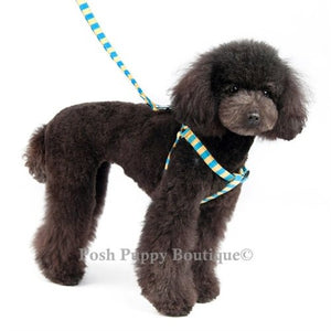 EasyCLICK Harness Stripes - Blue - Posh Puppy Boutique