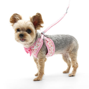 EasyGO Cherish Heart Harness - Posh Puppy Boutique