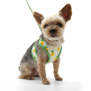 EasyGO Pineapple Yellow Harness - Posh Puppy Boutique