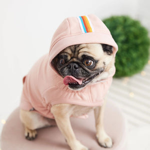 Elasto - Fit Urban Hoodie in Pink - Posh Puppy Boutique