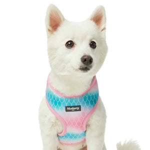 Enchanting Sea Dog Harness Vest - Posh Puppy Boutique