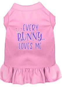 Every Bunny Loves Me Screen Print Dress in Many Colors - Posh Puppy Boutique