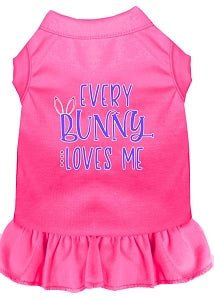 Every Bunny Loves Me Screen Print Dress in Many Colors - Posh Puppy Boutique