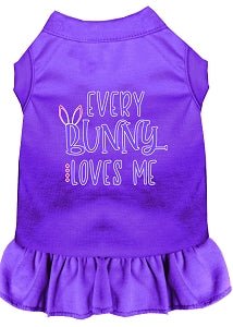 Every Bunny Loves Me Screen Print Dress in Many Colors - Posh Puppy Boutique