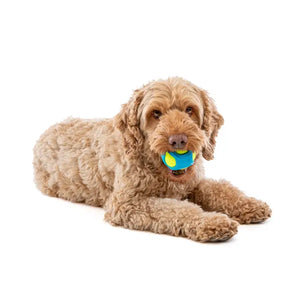 Guru Pet Tennis Max Ball Dog Fetch Toy