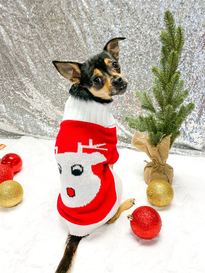 Combed Cotton Red Rudolph Holiday Dog Sweater