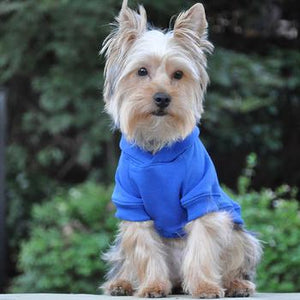 Flex - Fit Dog Hoodie - Blue - Posh Puppy Boutique