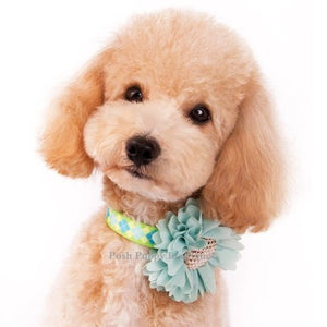 Flower 1 Collar Slider Flower Bow - Blue - Posh Puppy Boutique