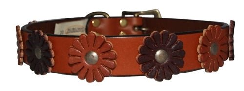 Flower Collection Collar - Tan