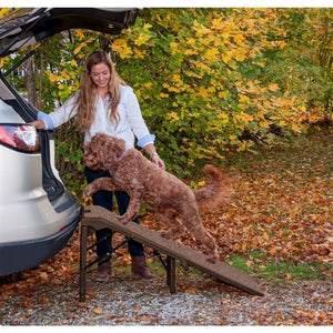 Free - standing Extra Wide Carpeted Pet Ramp in Chocolate - Posh Puppy Boutique