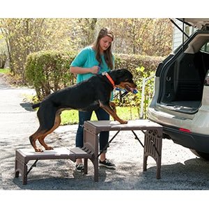 Free - Standing Foldable Pet Stair - Posh Puppy Boutique