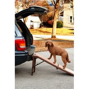 Free - Standing Pet Ramp - Posh Puppy Boutique