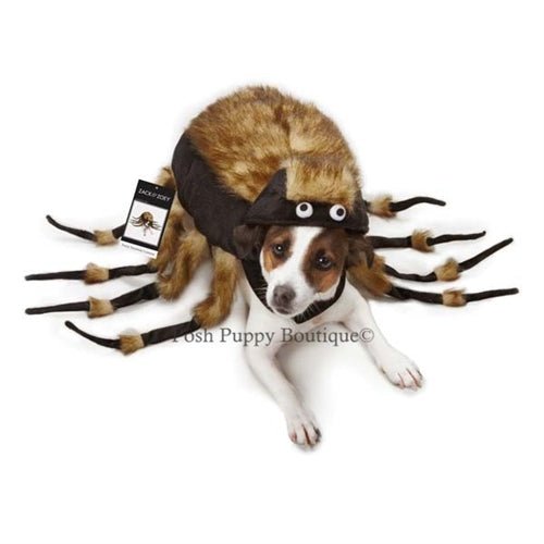 Fuzzy Tarantula Costume