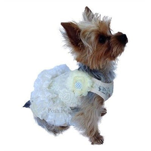 Garden Party Tutu Dress - Ivory - Posh Puppy Boutique