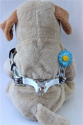 Gerber Daisy Blue Collection - Step In Harnesses All Metal Buckles - Posh Puppy Boutique