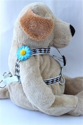 Gerber Daisy Blue Collection - Step In Harnesses All Metal Buckles - Posh Puppy Boutique