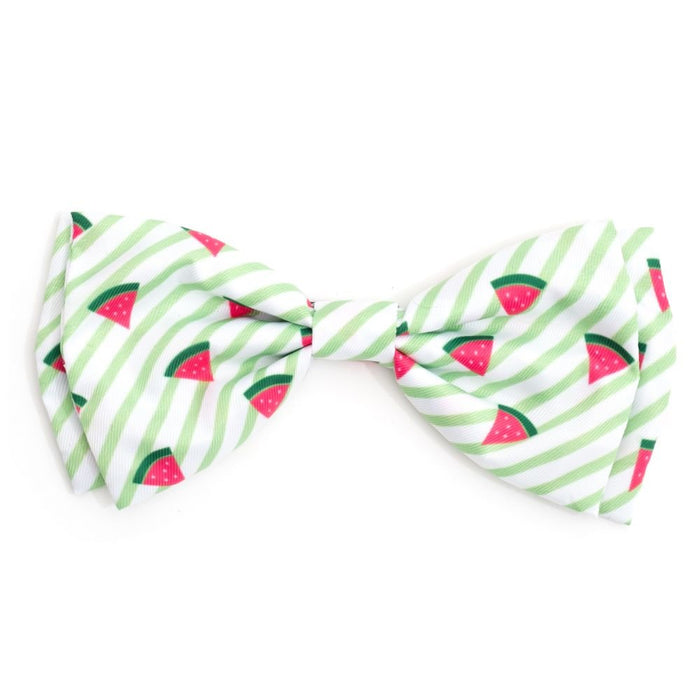 Green Stripe Watermelon Bow Tie