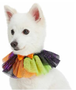 Halloween Party Costume Dog Collar - Black - Posh Puppy Boutique