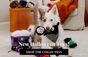 Dallas Cowboys Pet Pajamas – Posh Puppy Boutique