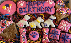 Happy Birthday Dog Treat Gift Box in Pink - Posh Puppy Boutique