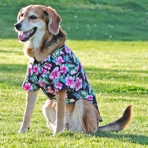 Hawaiian Camp Shirt - Paradise Nights - Posh Puppy Boutique