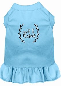 He Is Risen Screen Print Dog Dress in Many Colors - Posh Puppy Boutique