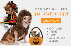 Posh Pet Glamour Boutique, Designer Dog Clothes & Luxury Dog Boutique