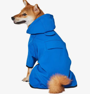 Hooded Softshell Waterproof Jacket in Dazzling Blue - Posh Puppy Boutique