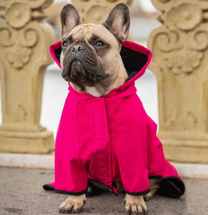 Hooded Softshell Waterproof Jacket in Pink - Posh Puppy Boutique