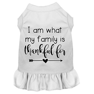 I Am What My Family is Thankful For Screen Print Dog Dresses in Many Colors - Posh Puppy Boutique