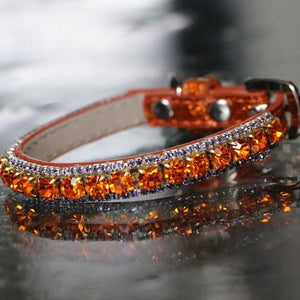 Inner Harmony Pet Collar - Sacral Chakra Inspired - Posh Puppy Boutique