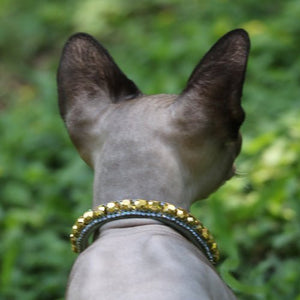 Inner Harmony Pet Collar - Solar Plexus Inspired - Posh Puppy Boutique