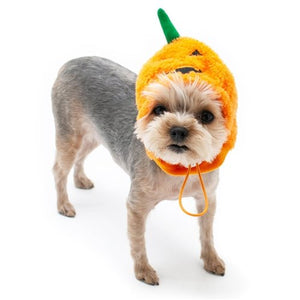 Jack - O Hat in Orange - Posh Puppy Boutique