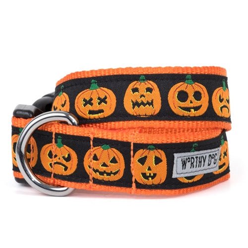 Jack-O-Lantern Collar Collection