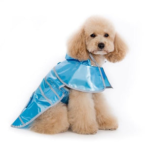 Jelly Raincoat - Blue - Posh Puppy Boutique