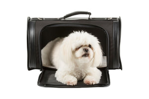 Kelle Carrier - Chocolate Brown - Posh Puppy Boutique