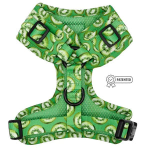 Kiwi Krazy Adjustable Harness - Posh Puppy Boutique