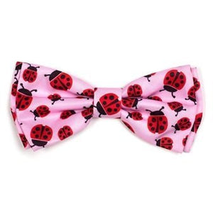 Lady Bug Bow Tie - Posh Puppy Boutique