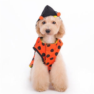 Ladybug Bumblebee Reversible Dog Costume - Posh Puppy Boutique