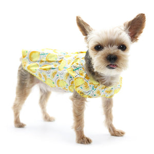 Lemonade Dress - Posh Puppy Boutique