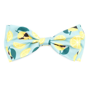 Lemons Bow Tie - Posh Puppy Boutique