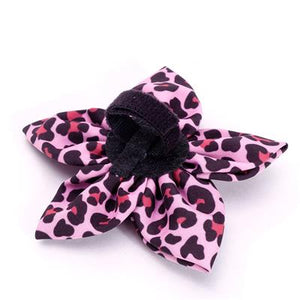 Leopard Pink Flower Slider - Posh Puppy Boutique