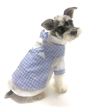 License to Charm Tux - Posh Puppy Boutique