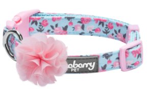 Light Blue Spring Collar with Flower